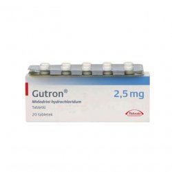 Гутрон таблетки 2,5 мг. №20 в Иркутске и области фото